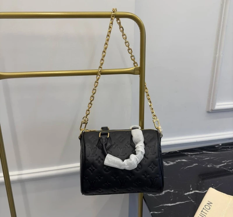 Louis Vuitton Speedy 22