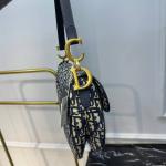 Christian Dior Saddle mit Trageriemen