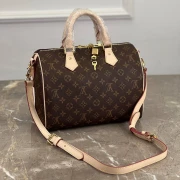 Louis Vuitton Speedy