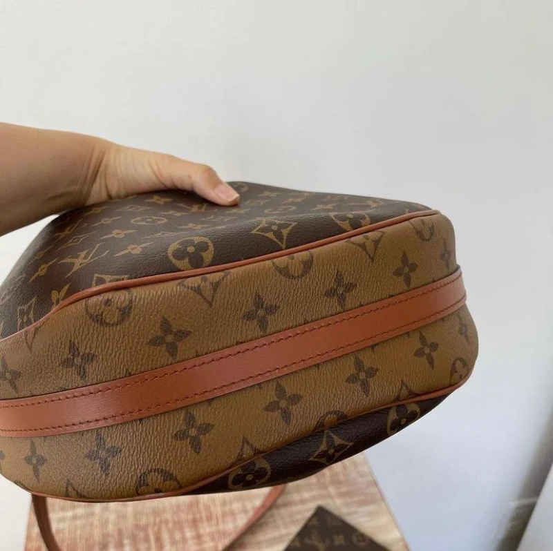 Louis Vuitton Loop Hobo