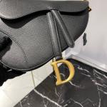 Christian Dior Saddle